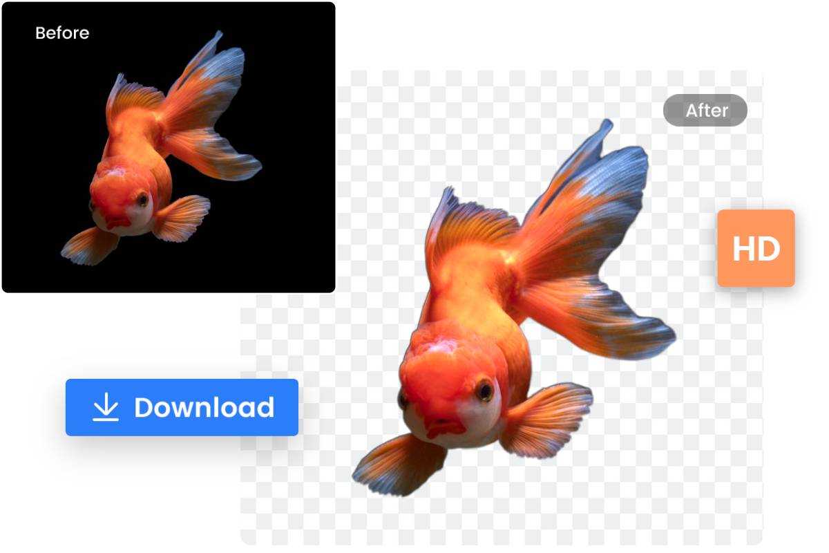 Remove Black Background From Image Automatically With AI Background