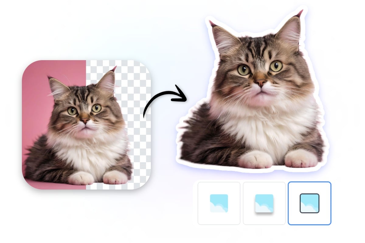 Remove the background of a cute cat photo and turn it into a whatsapp sticker