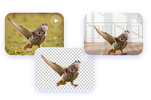 動画背景透過でエッホエッホフクロウの背景を変更