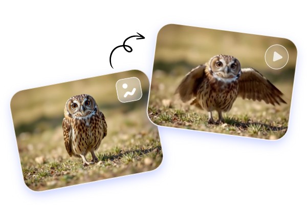 画像から走るフクロウ動画とGIFを作成