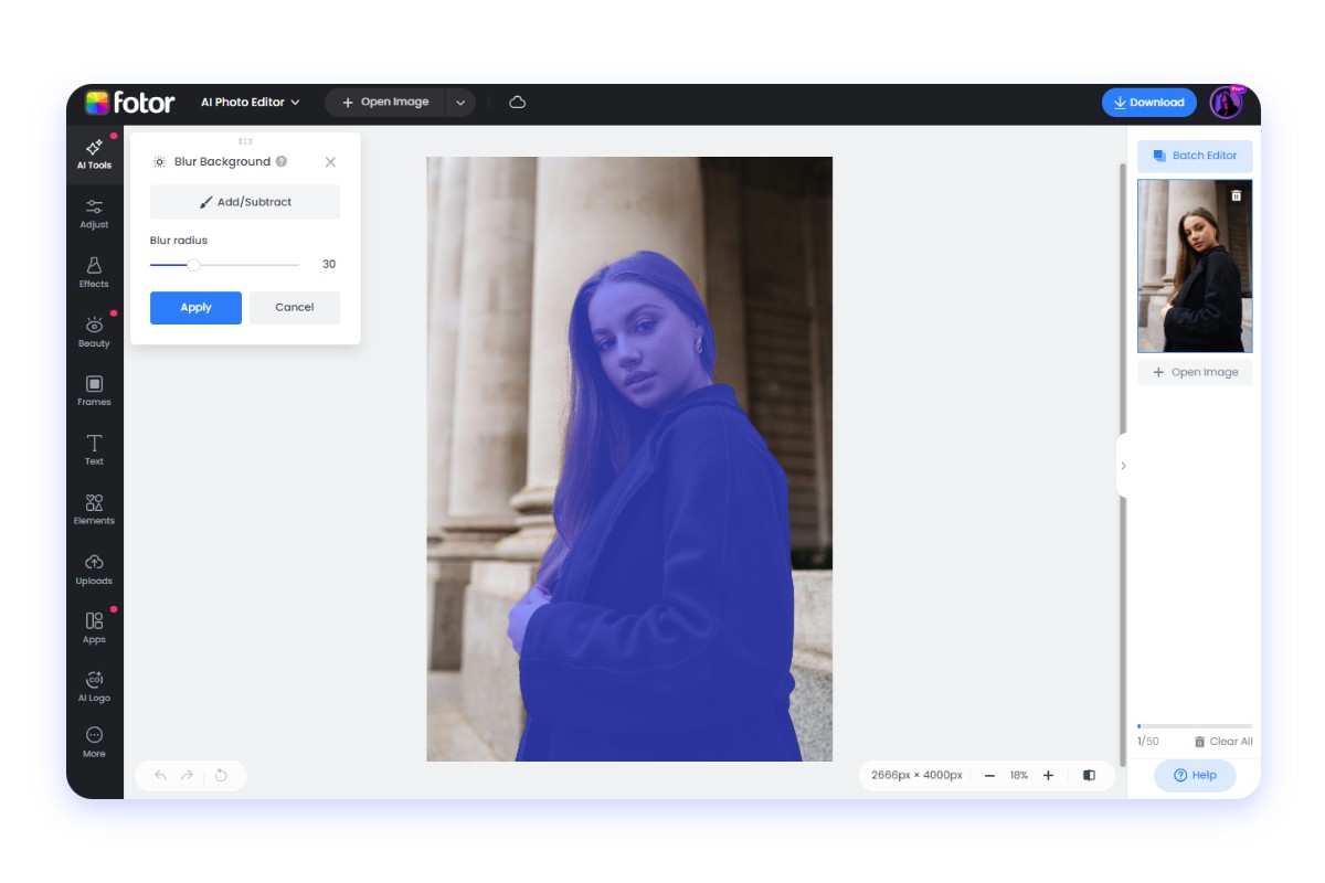 Smart auto detection of brush to pick subject of the picture