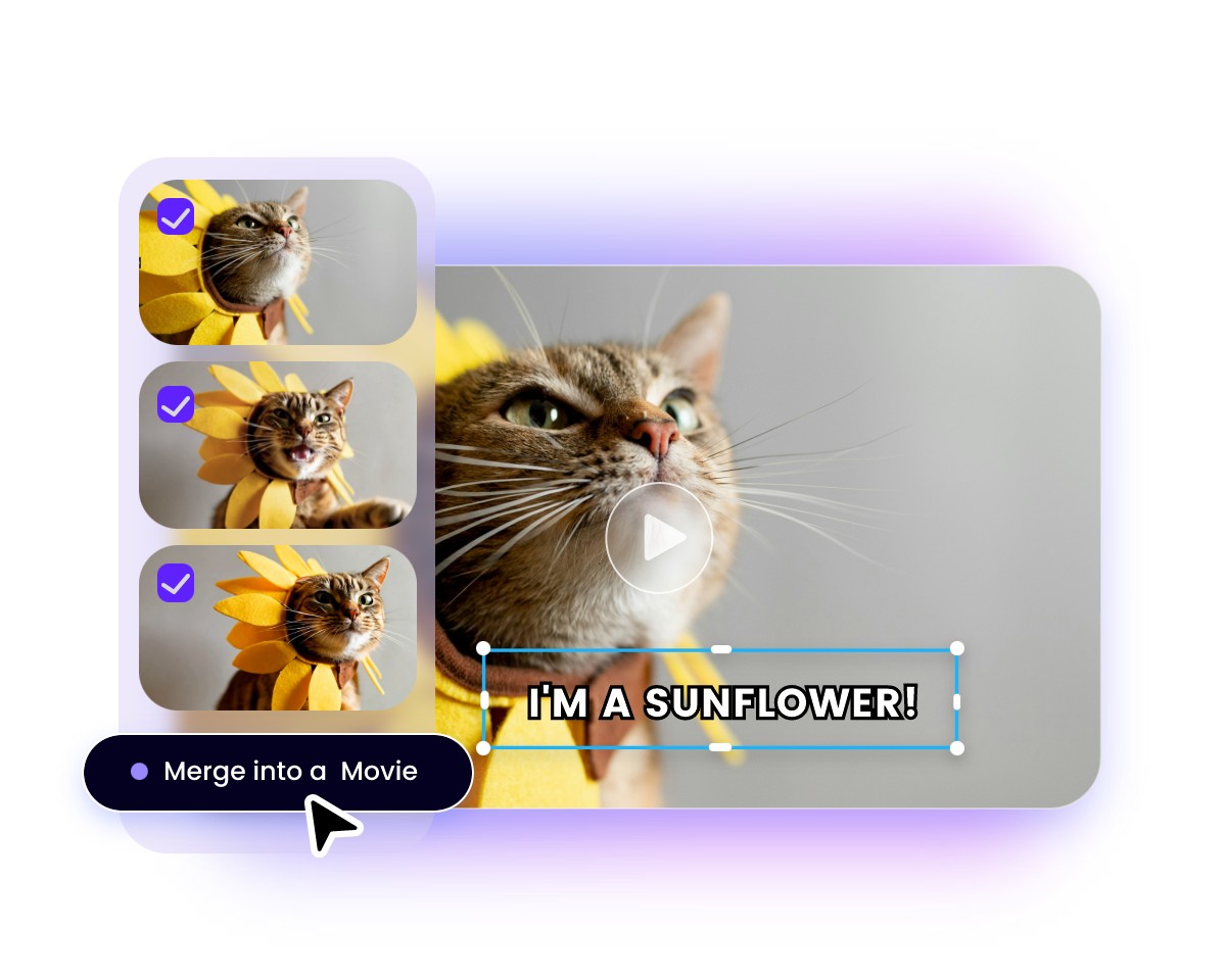 Step 3 click Merge into a Movie button to open our online video editor and add text captions
