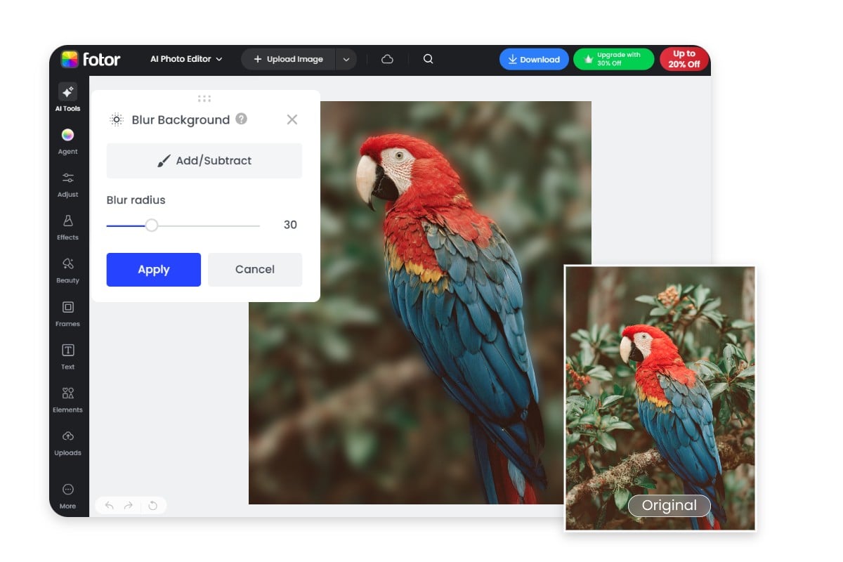 Step two blur background for the bird image