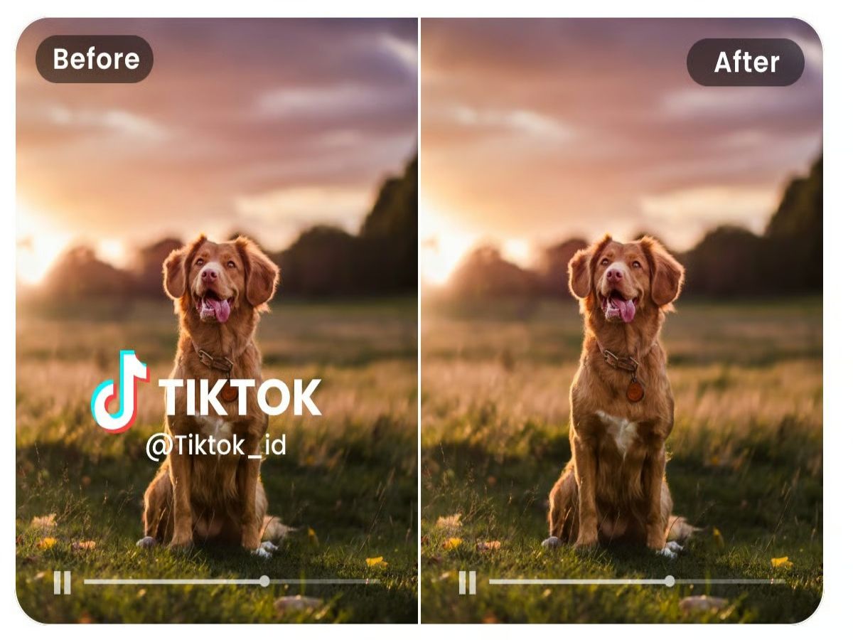 Tiktok wasserzeichen mit ki entfernen