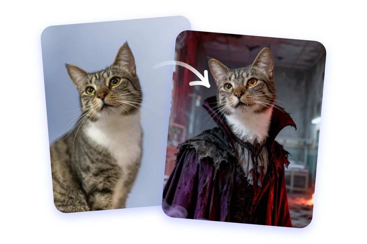 Transformer ses animaux en vampires pour des photos hilarantes