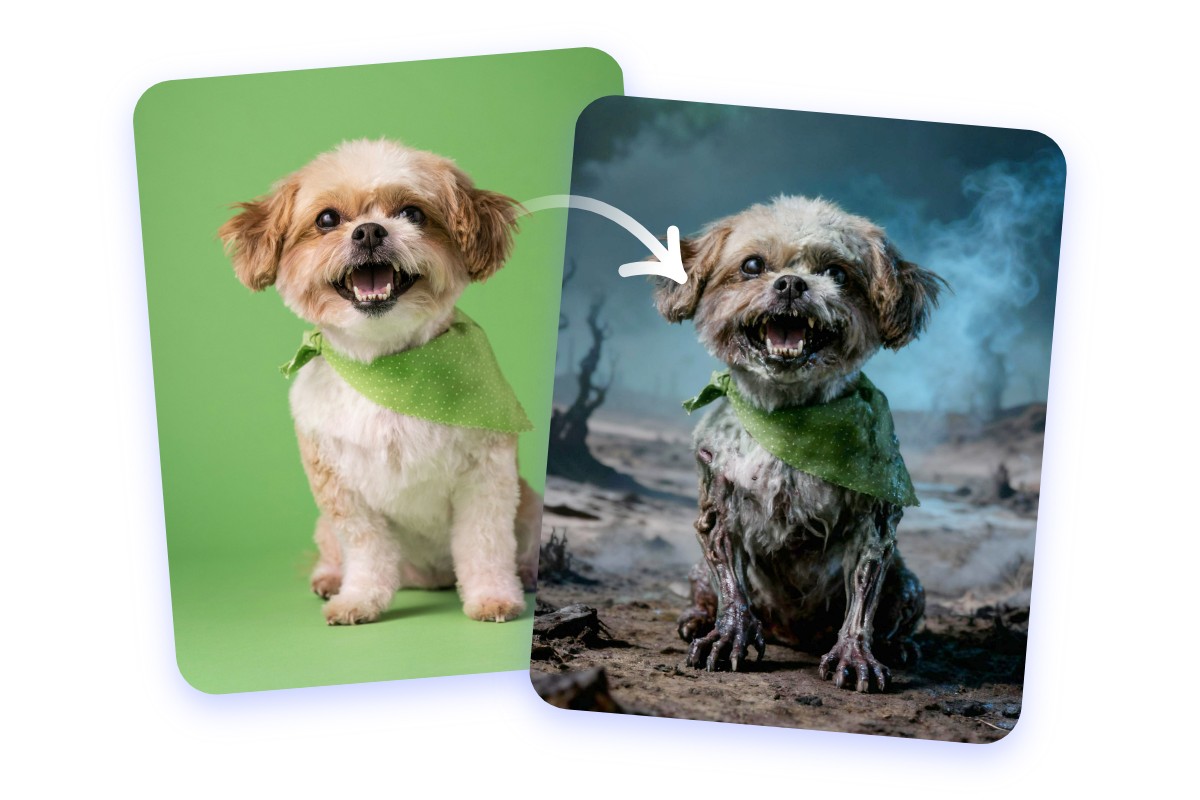 Transformer la photo de votre animal en zombie