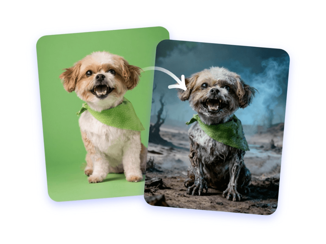Turn your pet picture into a zombie
