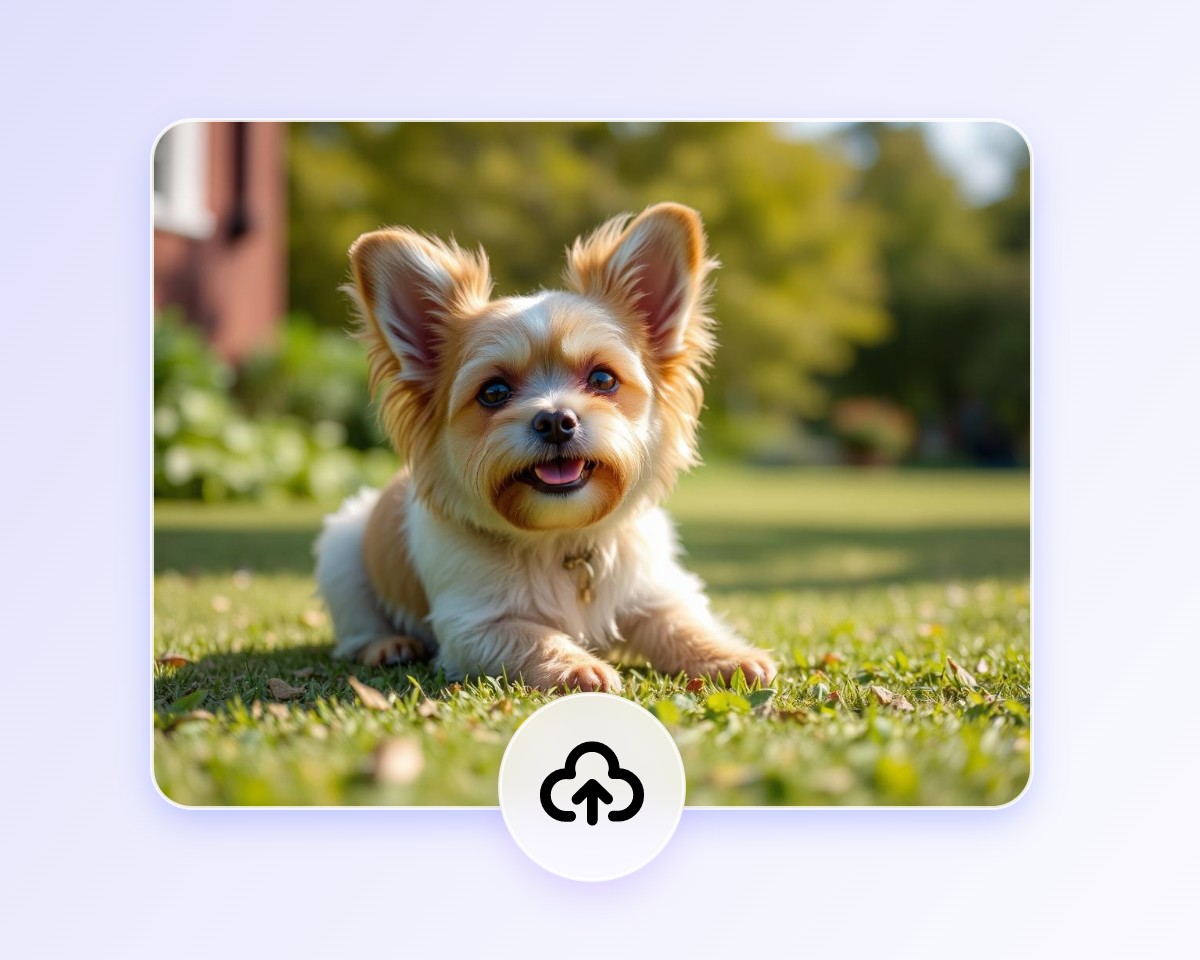 Upload a picture of a cute puppy