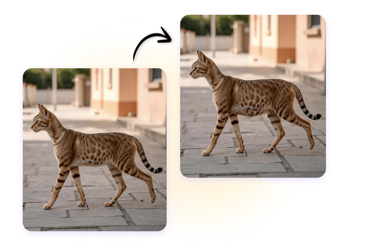 Use ai pregnant filter to make a cat pregnant in a photo