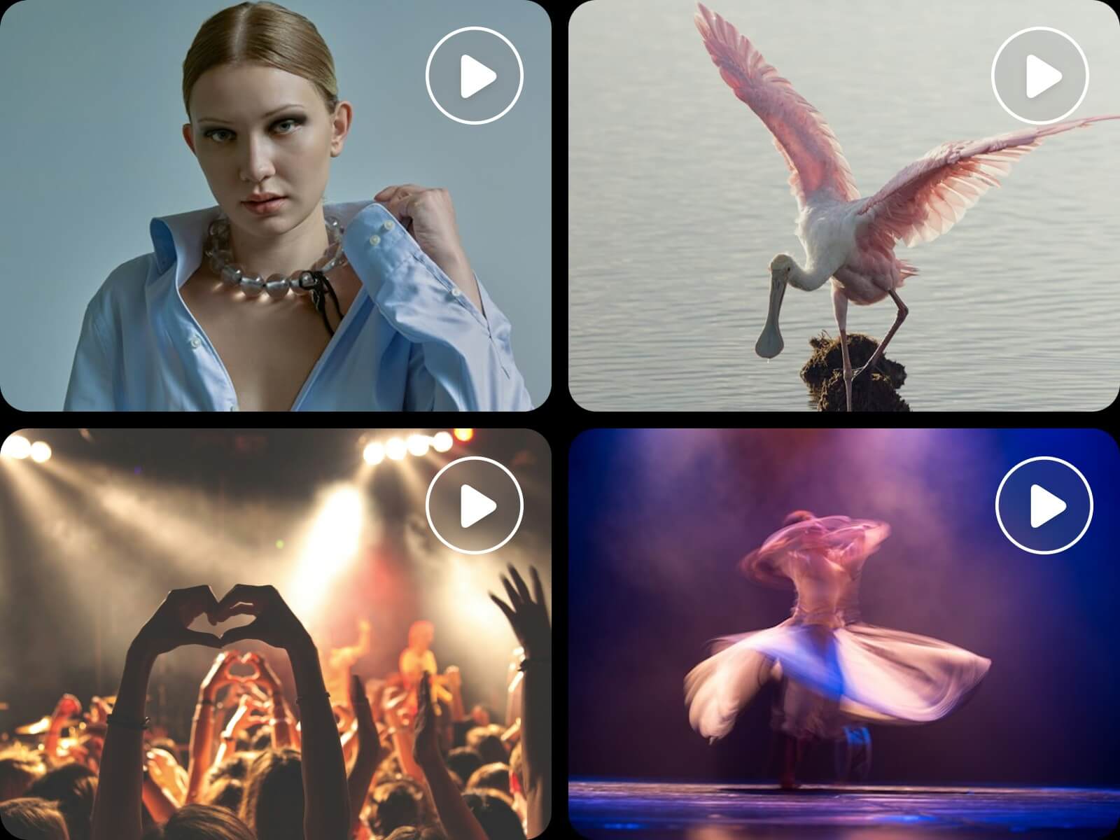 Use ai to generate music videos with different scenes performances and stories