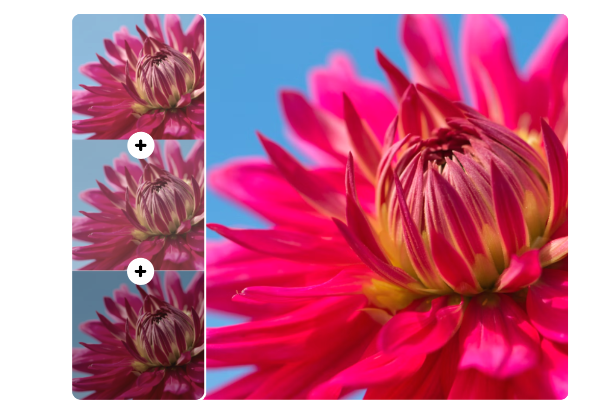 Use fotors hdr photo editor to apply tone mapping technology to the flower images