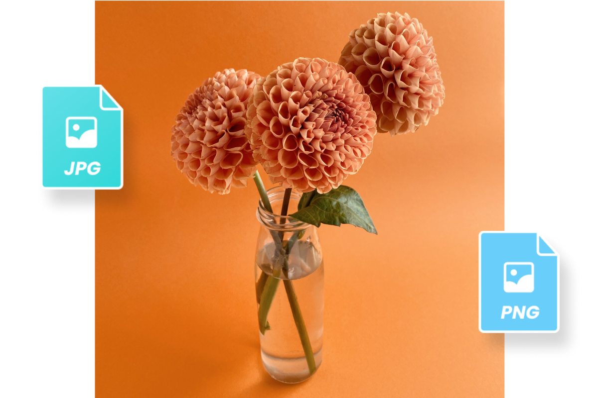 vase avec trois fleurs orange et deux formats de photos