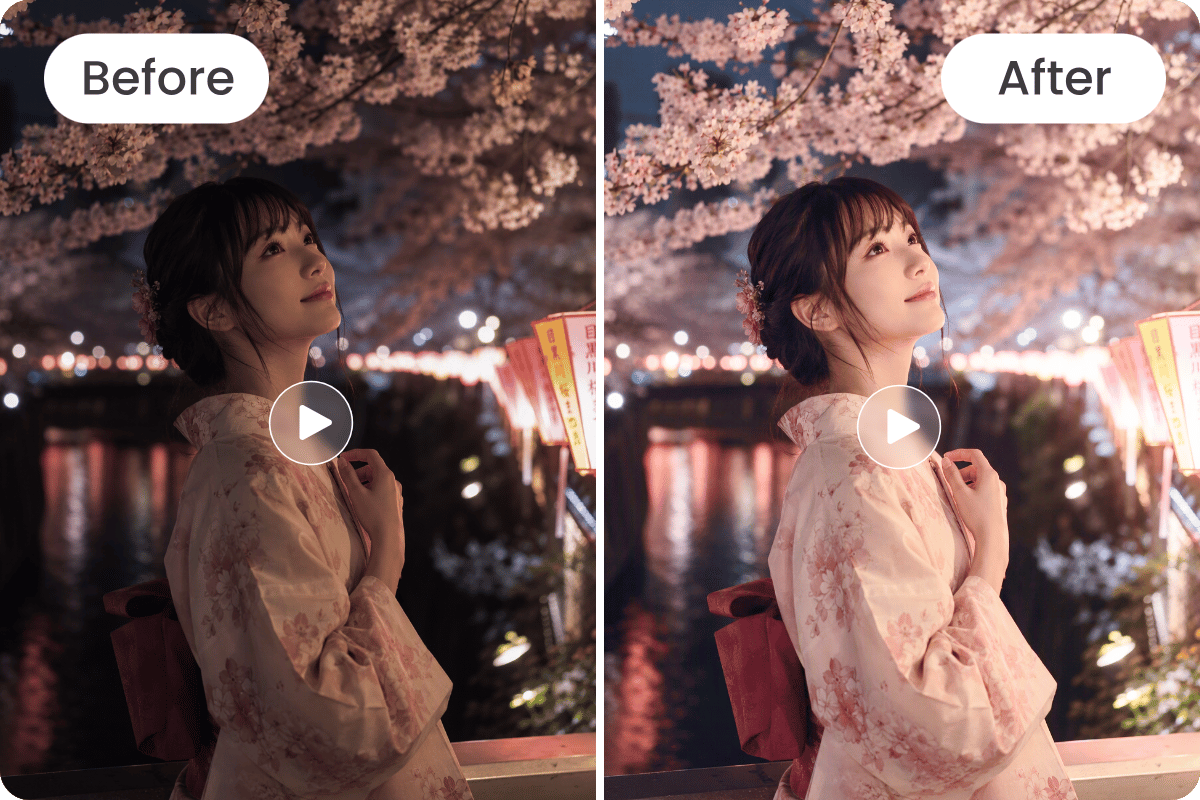 夜桜の撮影動画