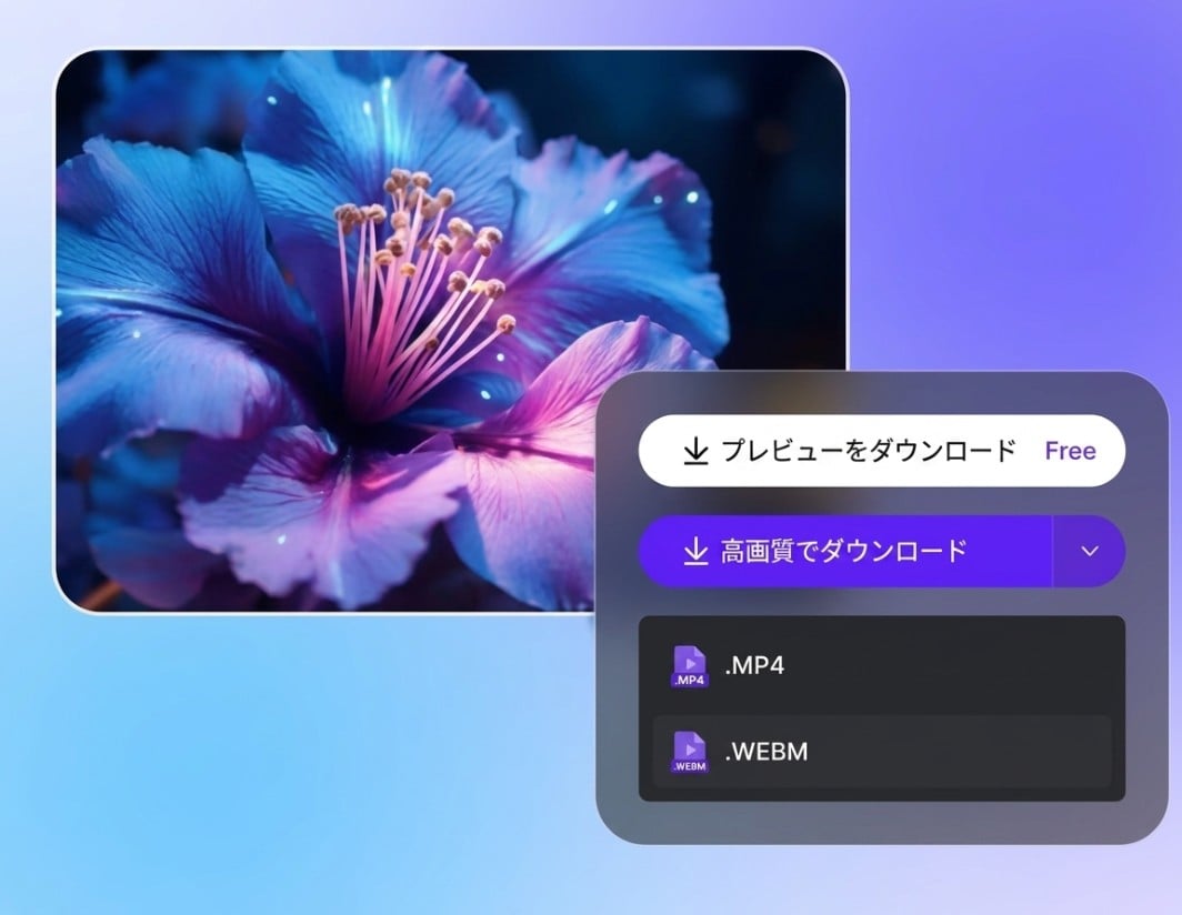 無修正動画をダウンロード