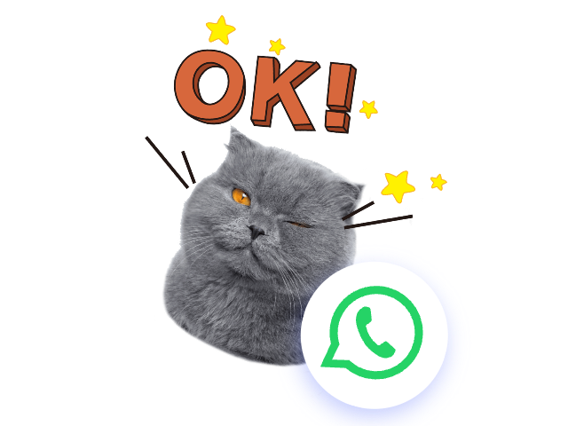Whatsapp sticker of a cat winking