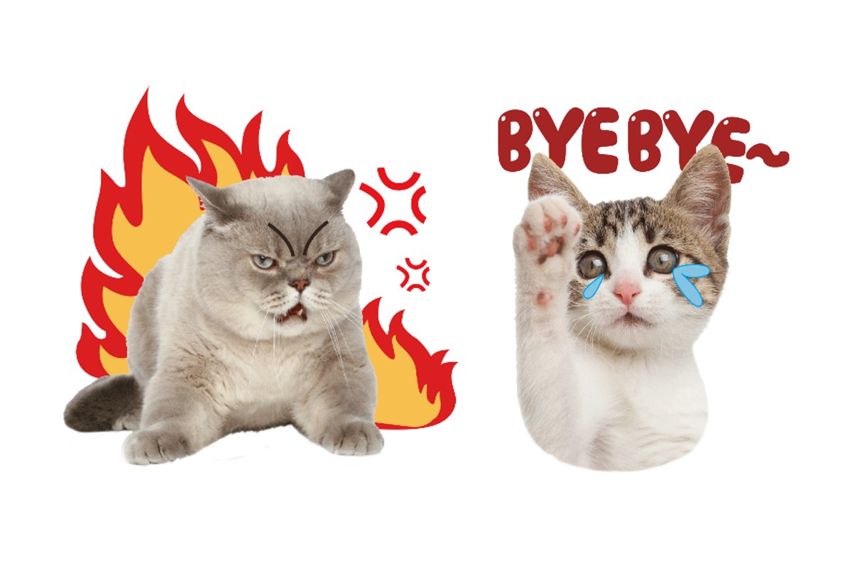 Whatsapp stickers of cats created with fotors whatsapp sticker maker