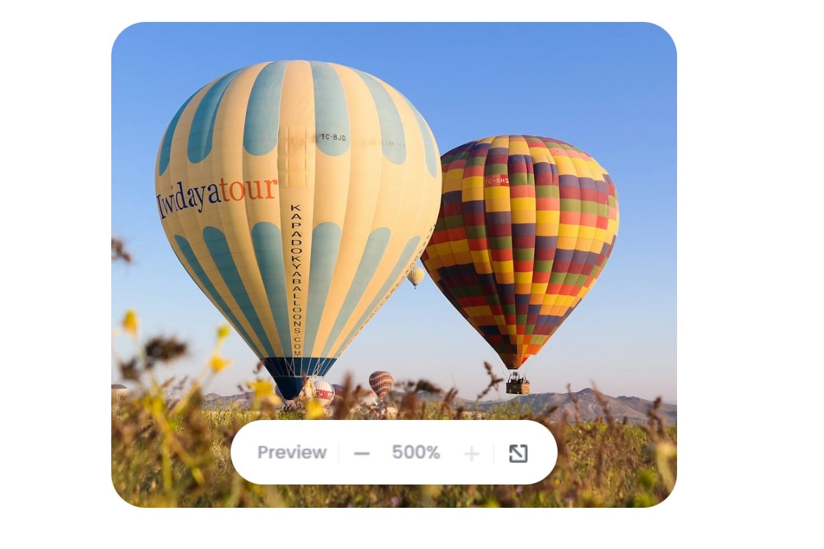 Online Image Zoomer: Zoom In/Out Images For Free | Fotor