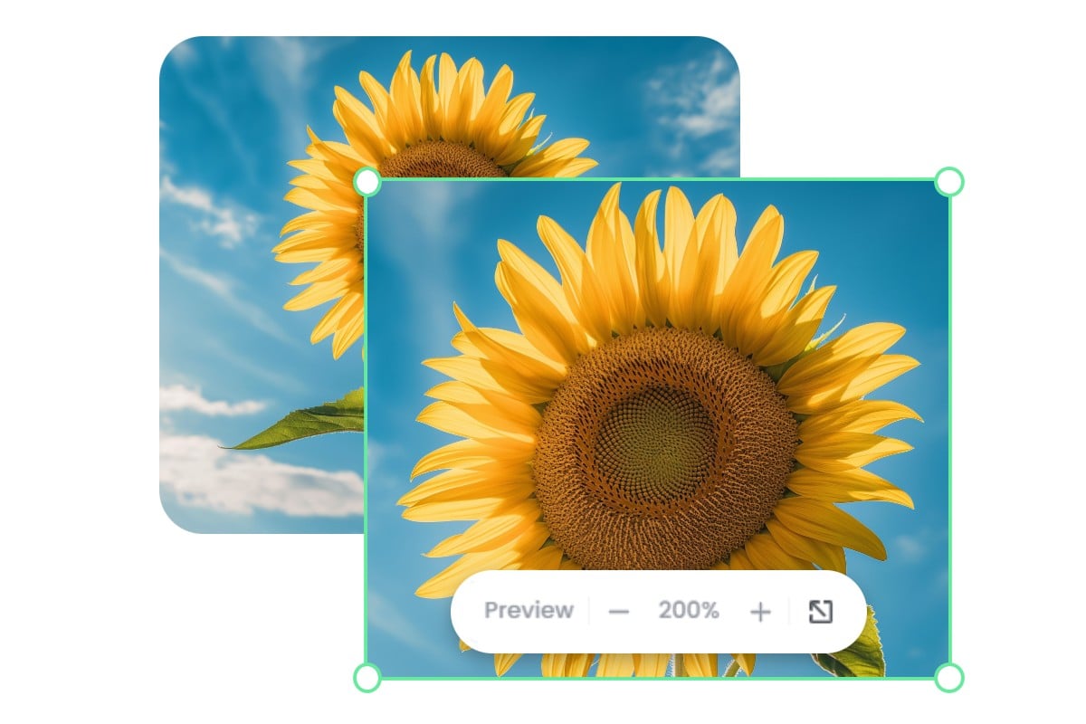 Online Image Zoomer: Zoom In/Out Images For Free | Fotor