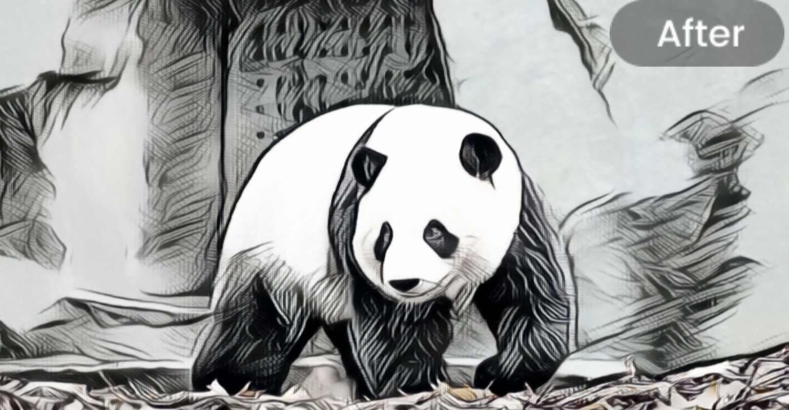the coloring page status of a panda hanging around on a road with leves below