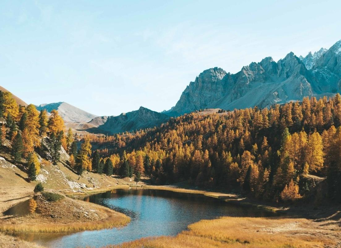 A beautiful landscape photo in autumn original