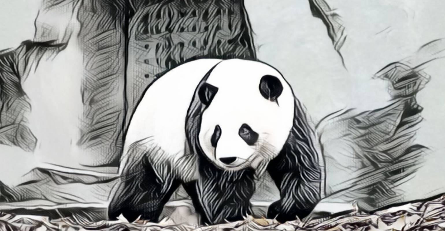 Un panda de rastreo en el efecto de boceto de IA del filtro Fotor AI
