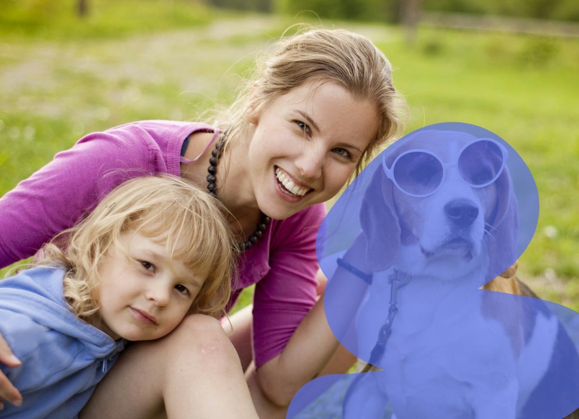 Before a dog being inpainted to cat photo