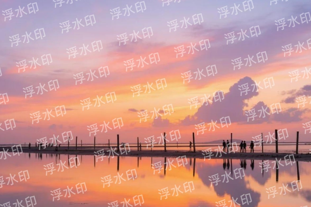 去浮水印前圖片鋪滿浮水印
