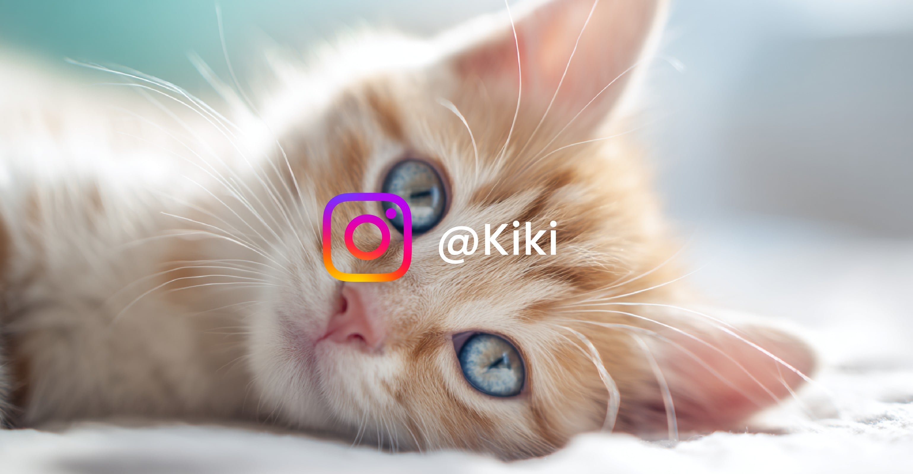 Fotorの透かし除去ツール：バナー画像の単一の透かしを削除する