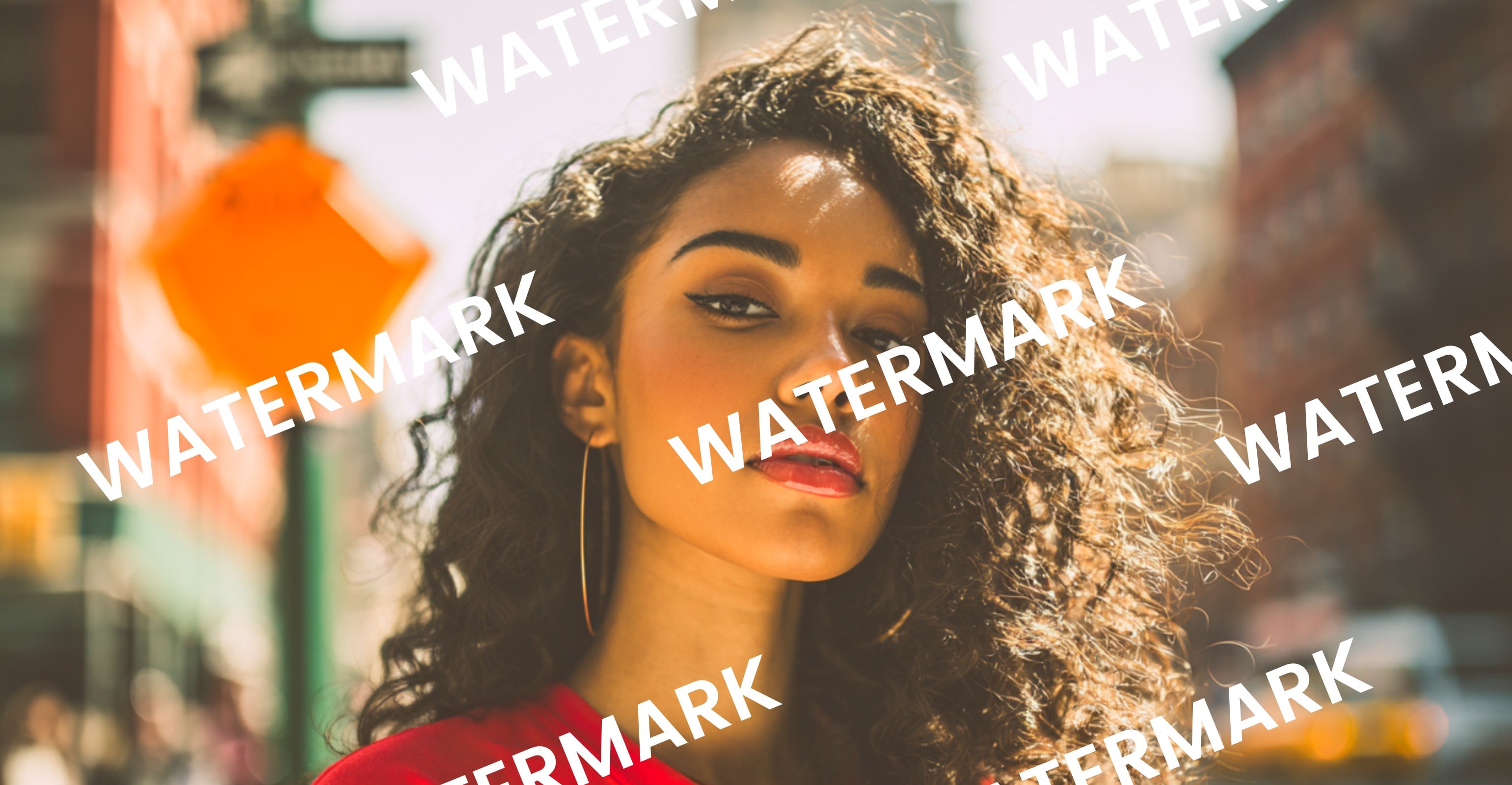 Fotorの透かし除去機能