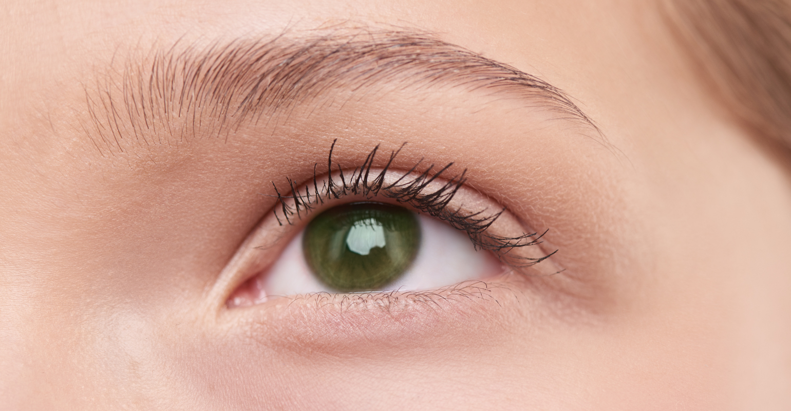 shades of green eye color chart