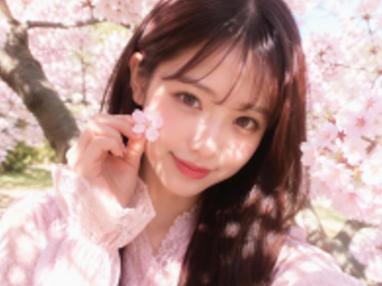 低画質な写真を救出