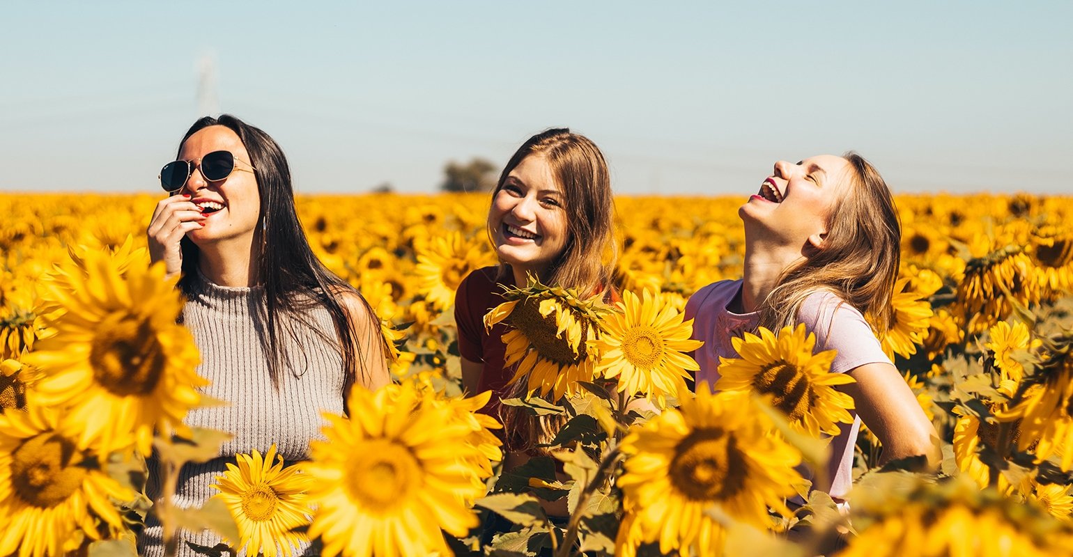 Three girls stand in the sunflowers