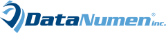 Datanumen logo