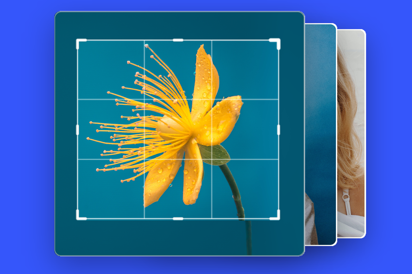 Cambiar tamaño de imagen en bloque con el recortador de imágenes en bloque de Fotor