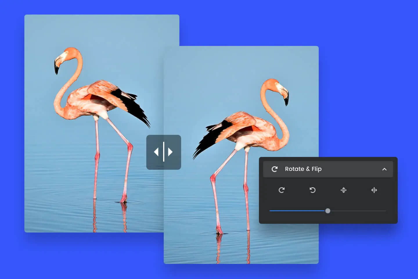 Flip image online instantly with Fotor's free image flipper