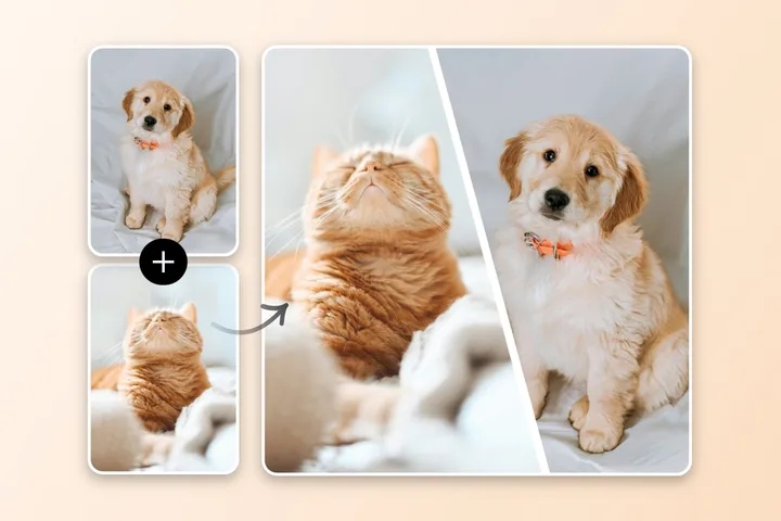 Fusionner des images en ligne en toute simplicité