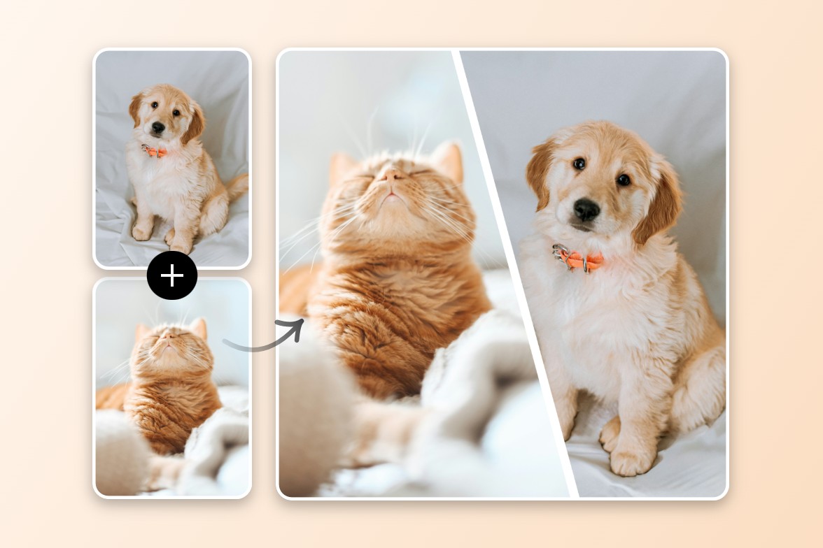 Lasse deine Bild mit Fotor zusammenfuegen