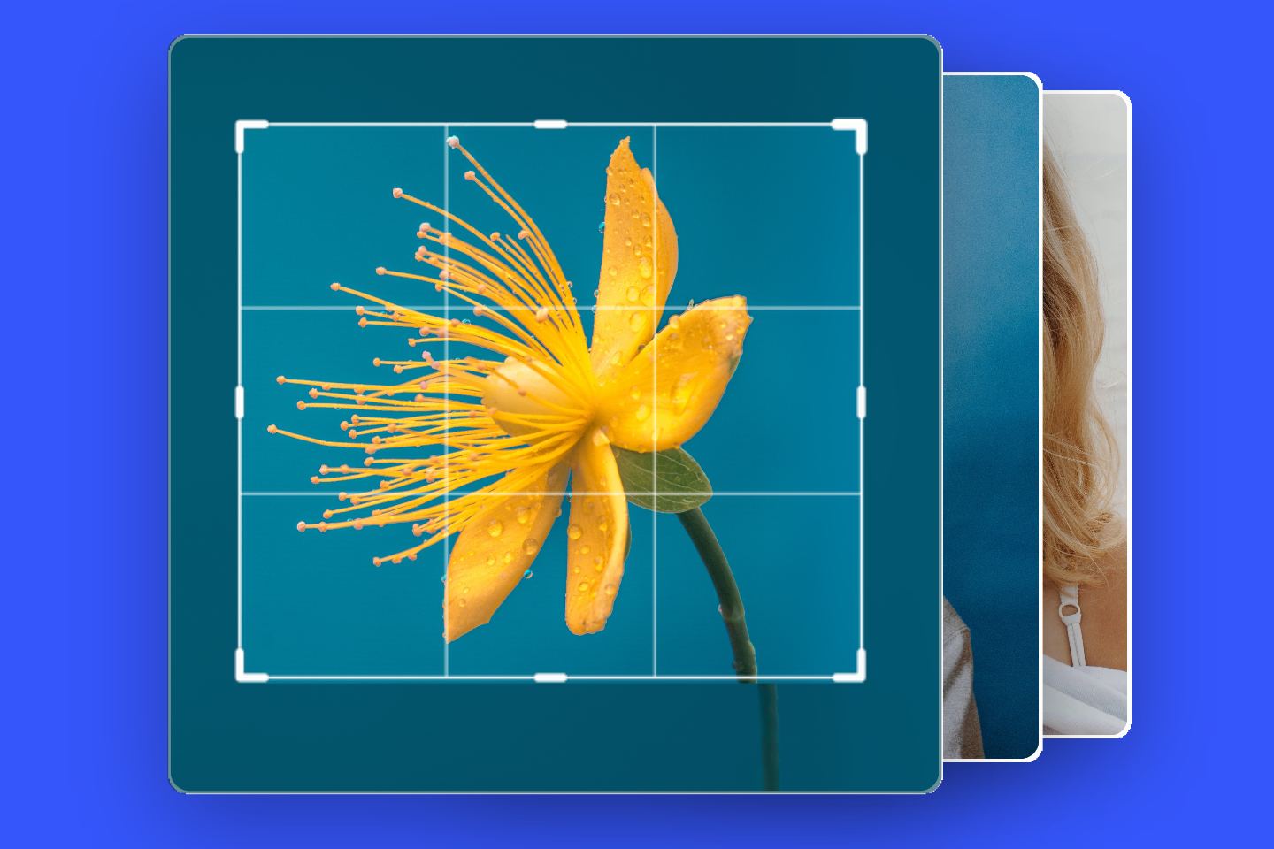 How To Resize All Images In Powerpoint At Once On Different Slides 