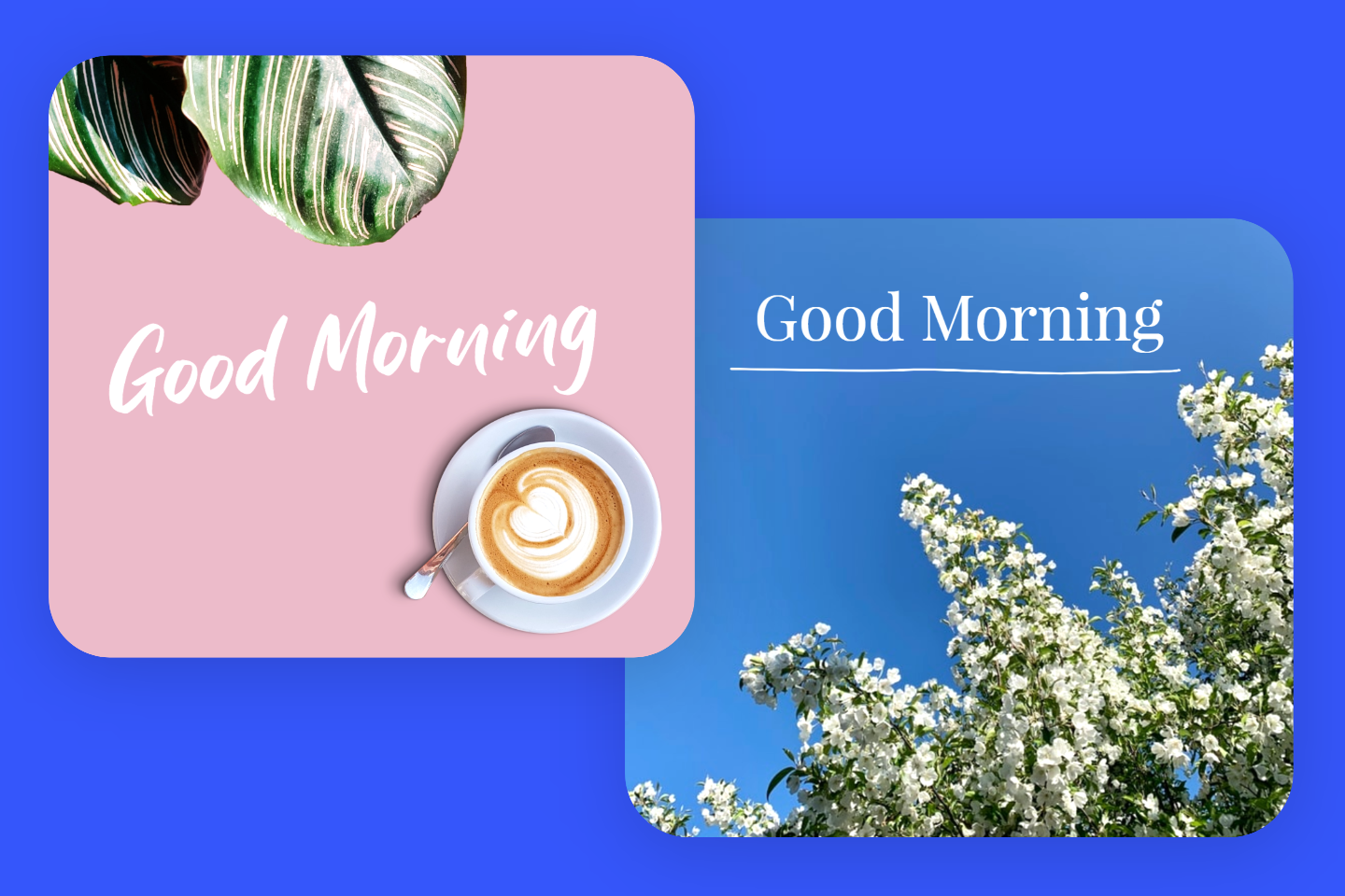 Make good morning message with templates in fotor