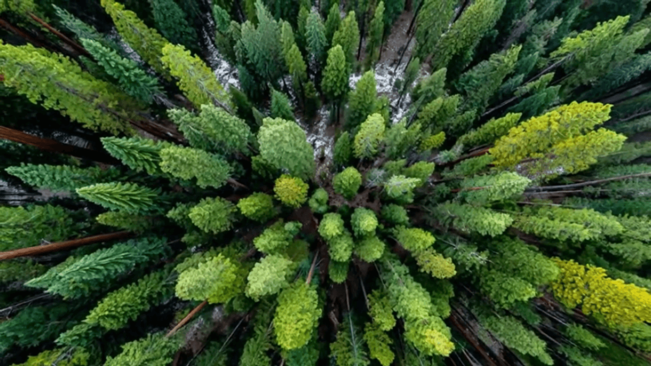 Texte en video payage fotor